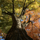 Illustration for article titled 48 Stunning Photos of Fall